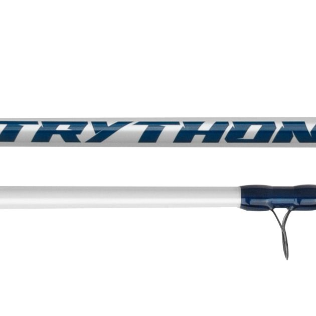 Спиннинг Mikado TRYTHON POWER CAT 300 (80-400 г.)